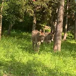 Alloggio per agriturismo La Mussia