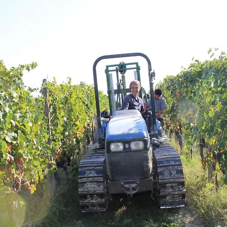 Alloggio per agriturismo La Mussia Castelnuovo (Asti)