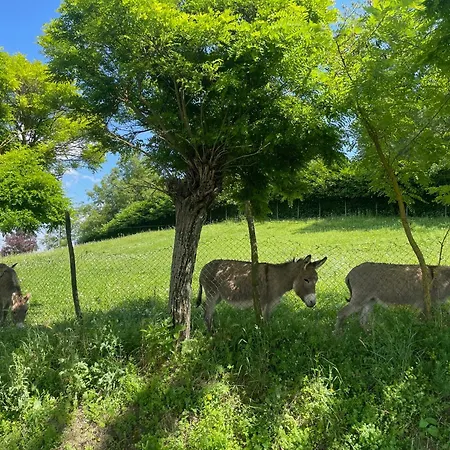 Alloggio per agriturismo La Mussia Castelnuovo (Asti)